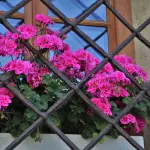 Che caratteristiche hanno le grate di sicurezza?