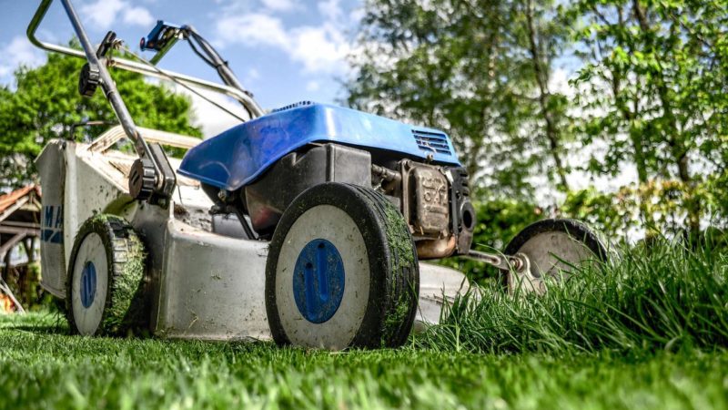 Come trovare dei giardinieri professionisti a Roma?